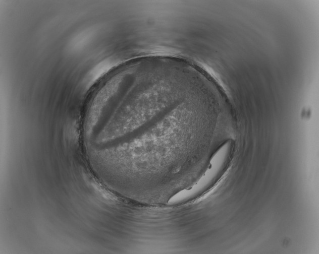 X0000092001163200709201503