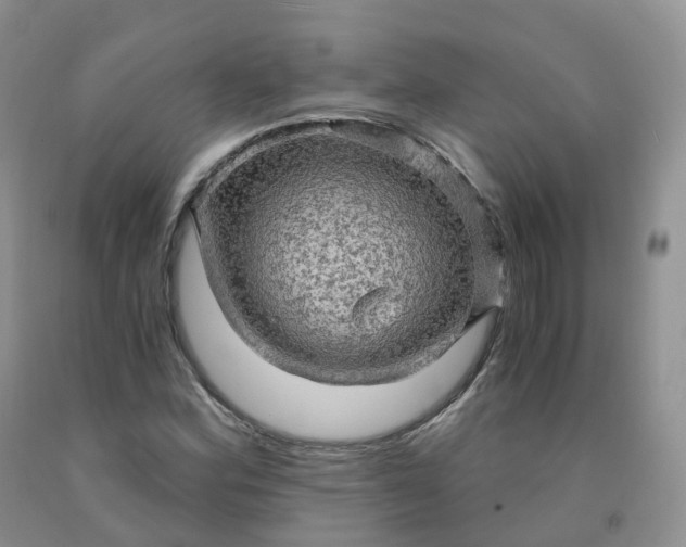 X0000092001164200709201503