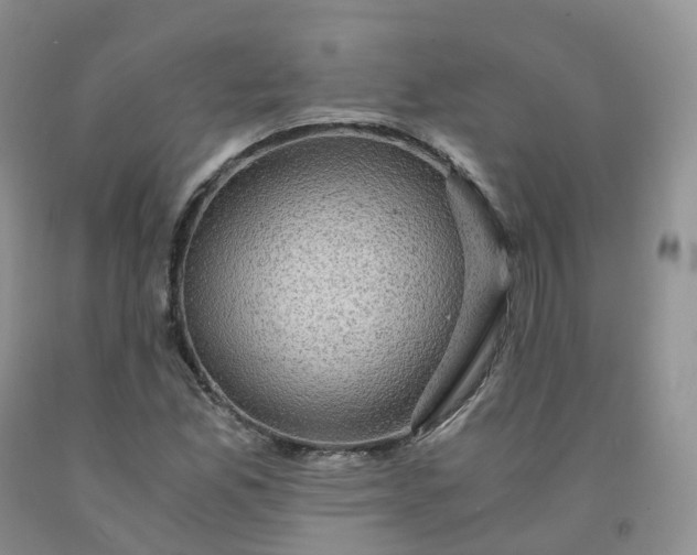 X0000092001165200709201503