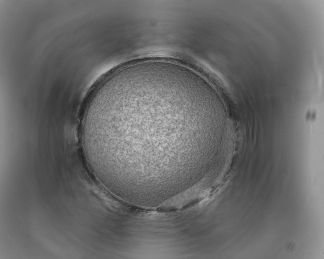 X0000092001166200709201503