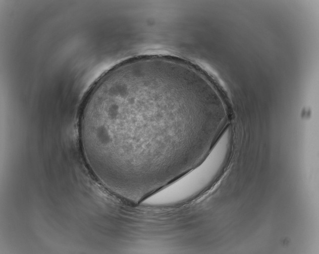 X0000092001167200709201503