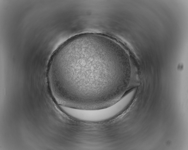 X0000092001168200709201503