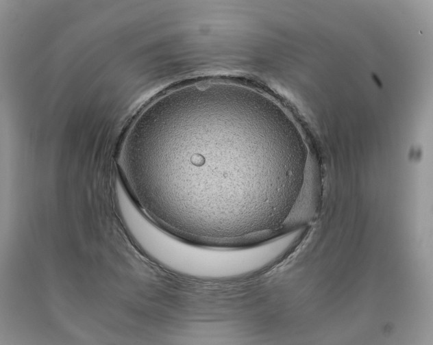 X0000092001169200709201503