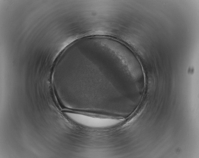 X0000092001170200709201503