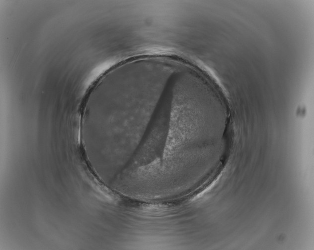 X0000092001171200709201503