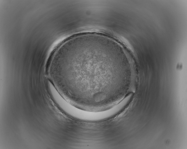 X0000092001172200709201503