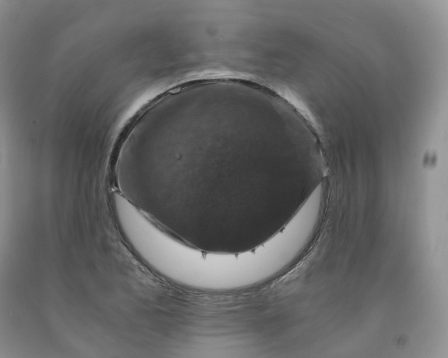 X0000092001173200709201503