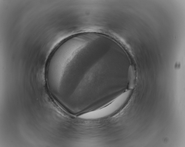 X0000092001174200709201503