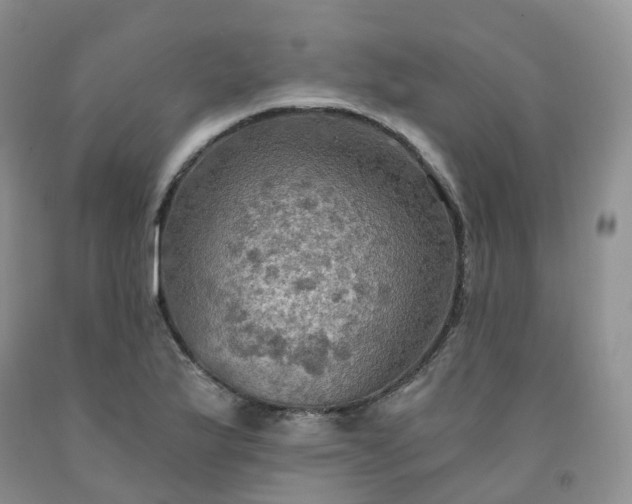 X0000092001175200709201503