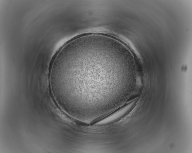 X0000092001176200709201503