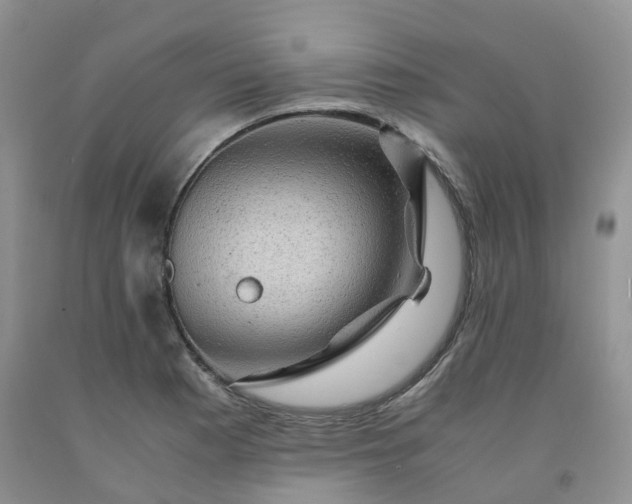 X0000092001177200709201502