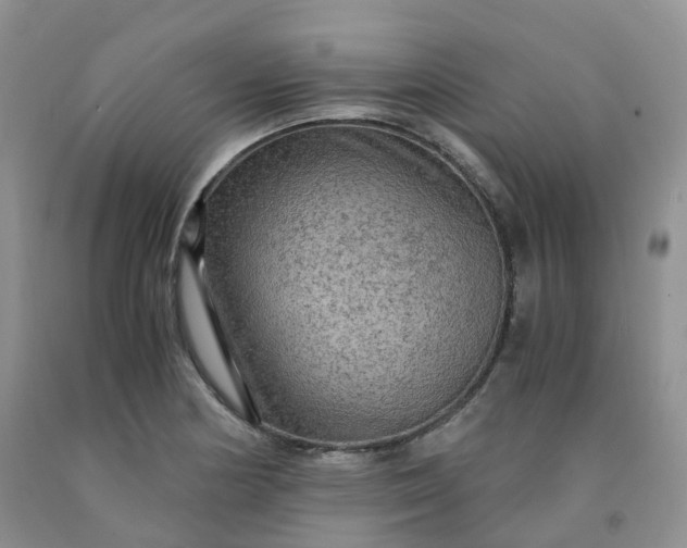 X0000092001178200709201502