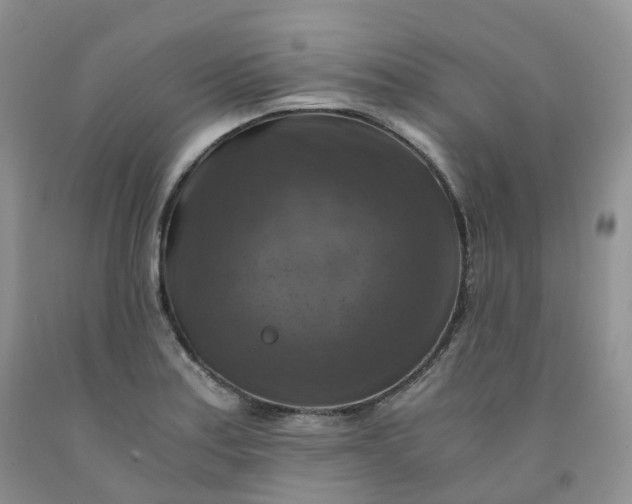 X0000092001179200709201502