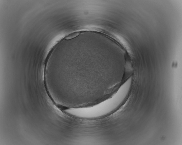 X0000092001180200709201502