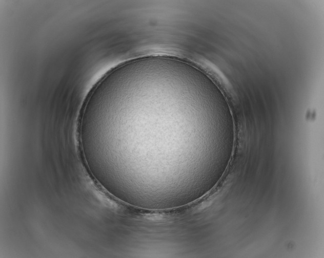 X0000092001182200709201502