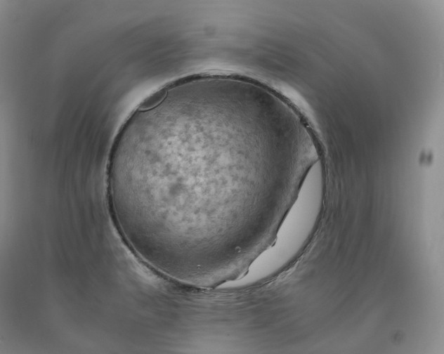 X0000092001183200709201502