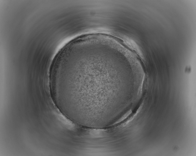 X0000092001184200709201502