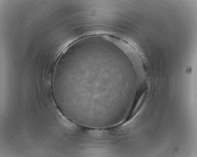 X0000092001185200709201502