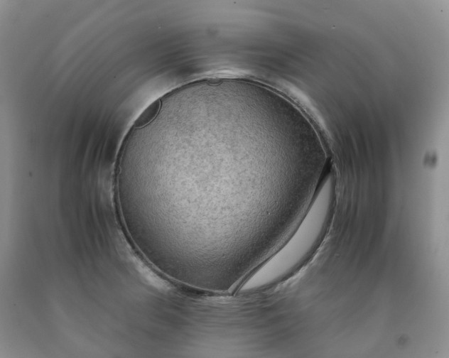 X0000092001186200709201502