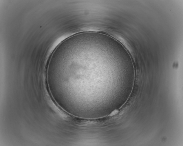 X0000092001187200709201502