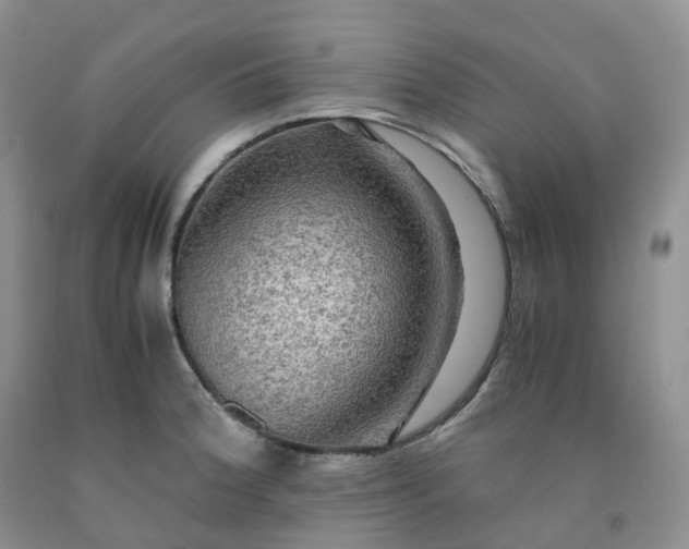 X0000092001188200709201502