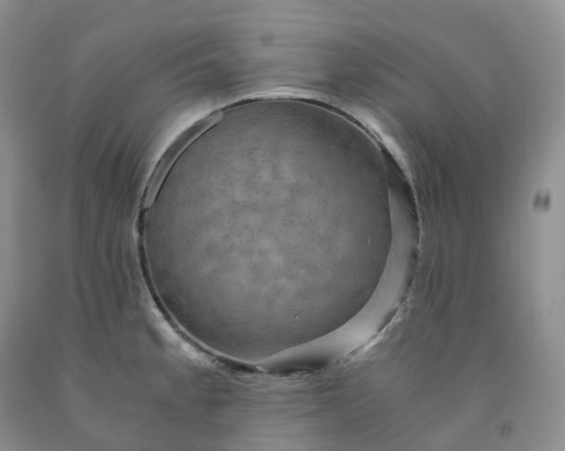 X0000092001189200709201502