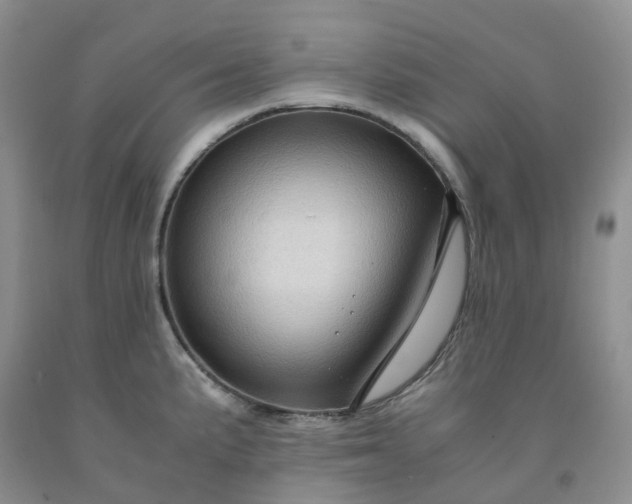 X0000092001191200709201502