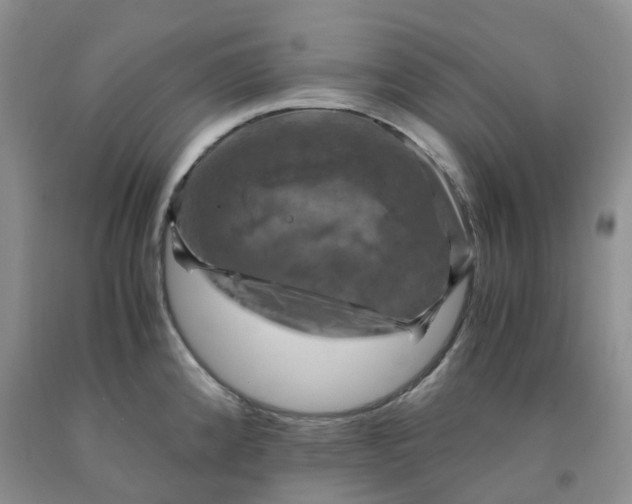 X0000092001192200709201502