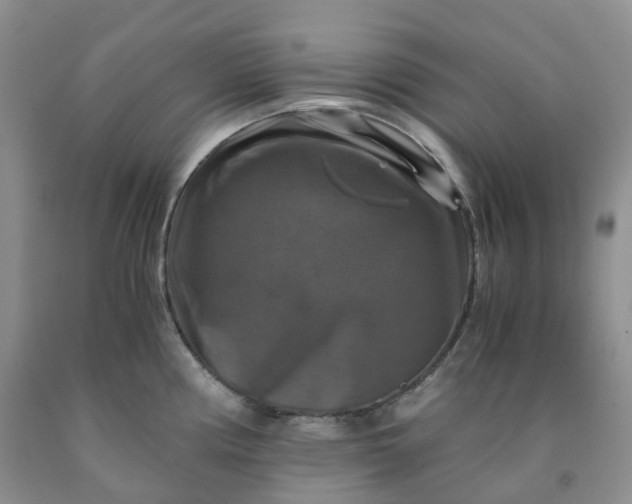 X0000092001194200709201502