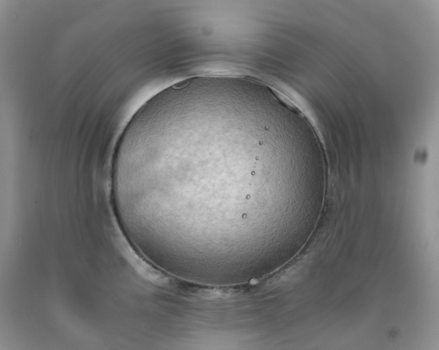 X0000092001195200709201502