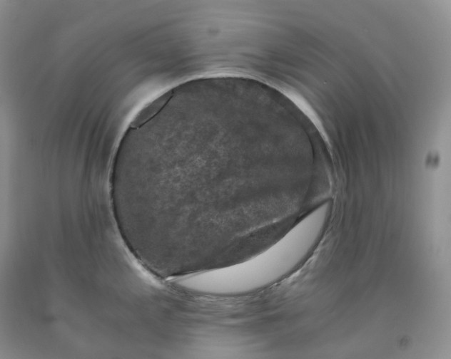 X0000092001197200709201502