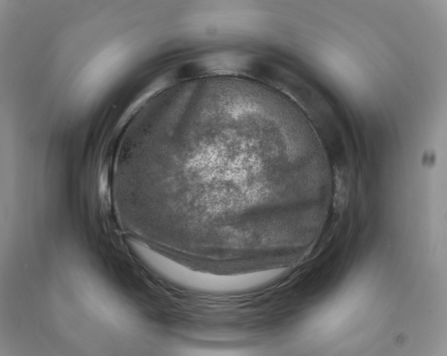 X0000092001198200709201502