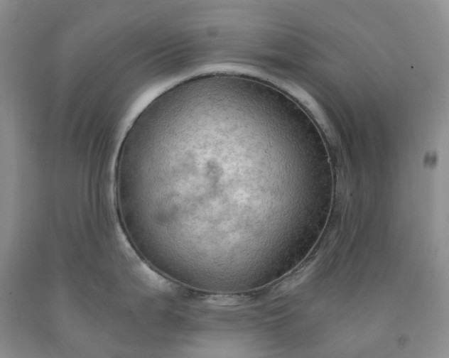 X0000092001199200709201502