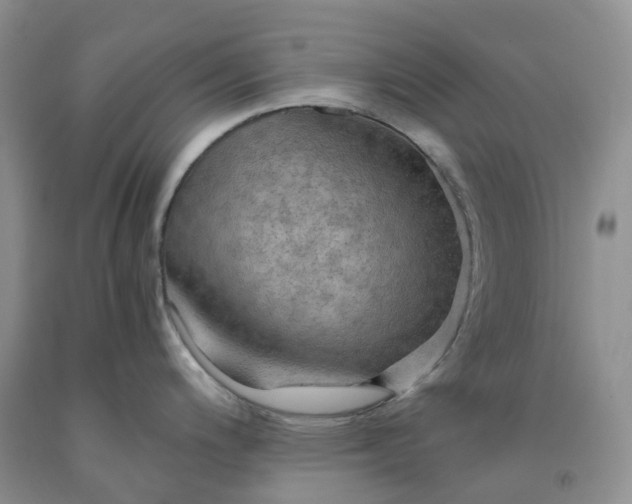 X0000092001200200709201502