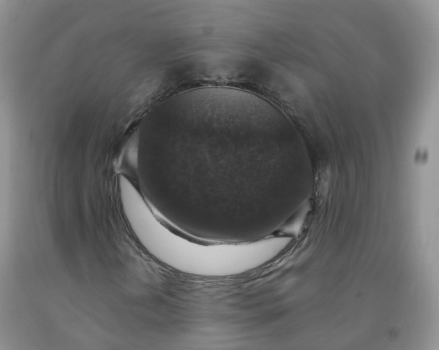 X0000092001202200709201502