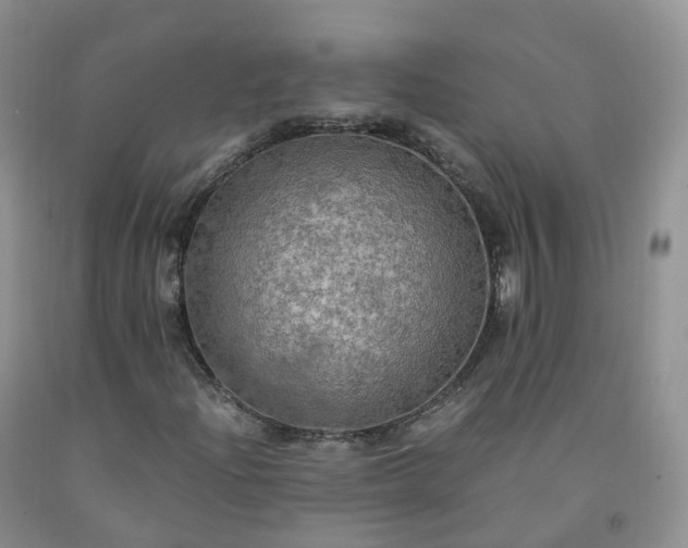 X0000092001204200709201502