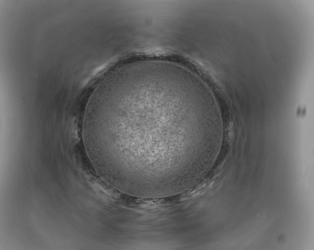 X0000092001205200709201502