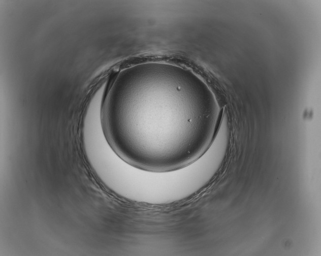 X0000092001206200709201502