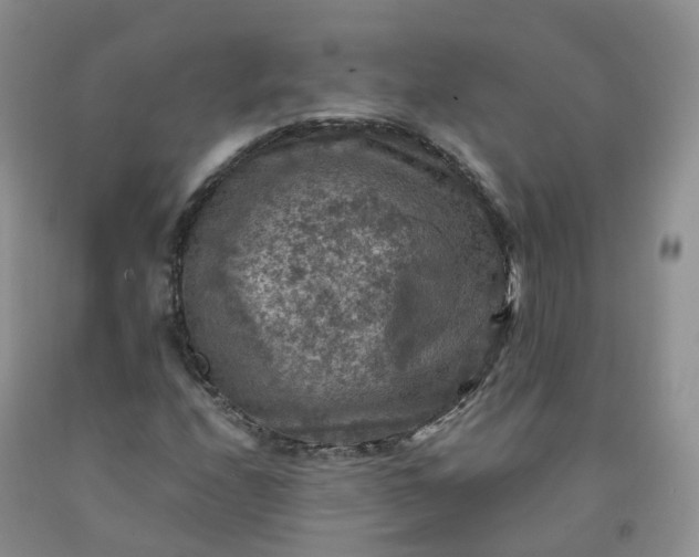 X0000092001208200709201502