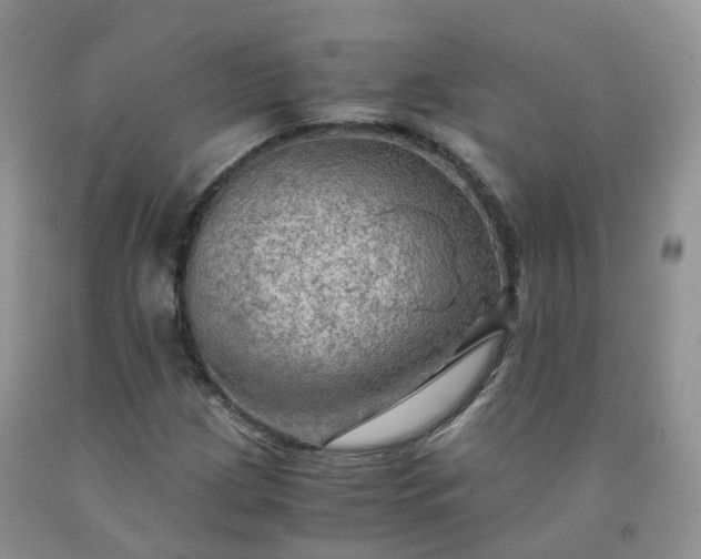 X0000092001209200709201502