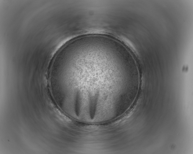 X0000092001212200709201502