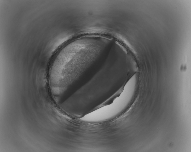 X0000092001213200709201502