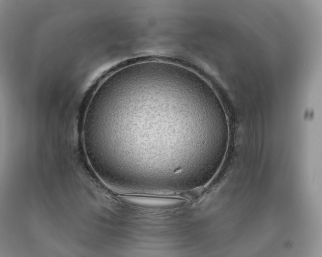 X0000092001214200709201502