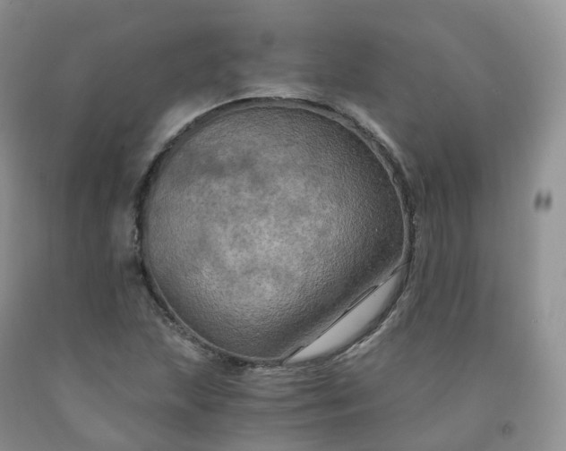 X0000092001215200709201502