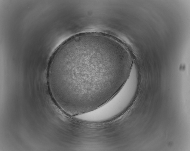 X0000092001216200709201502