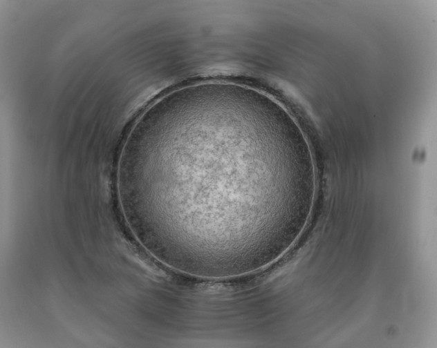 X0000092001217200709201502