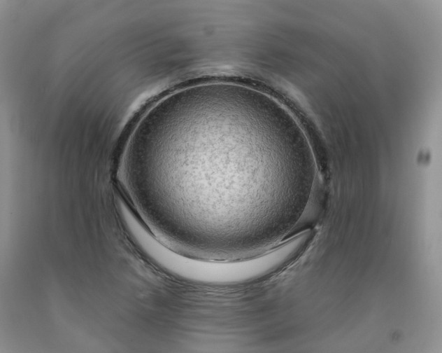 X0000092001218200709201502