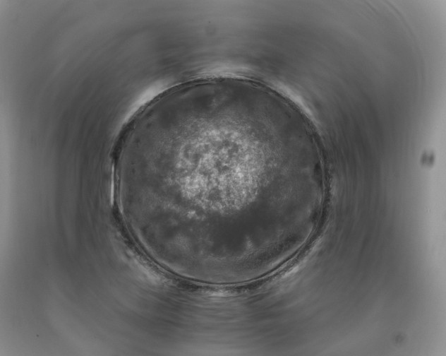 X0000092001219200709201502