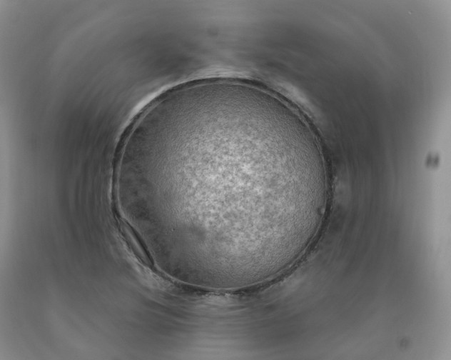 X0000092001220200709201502