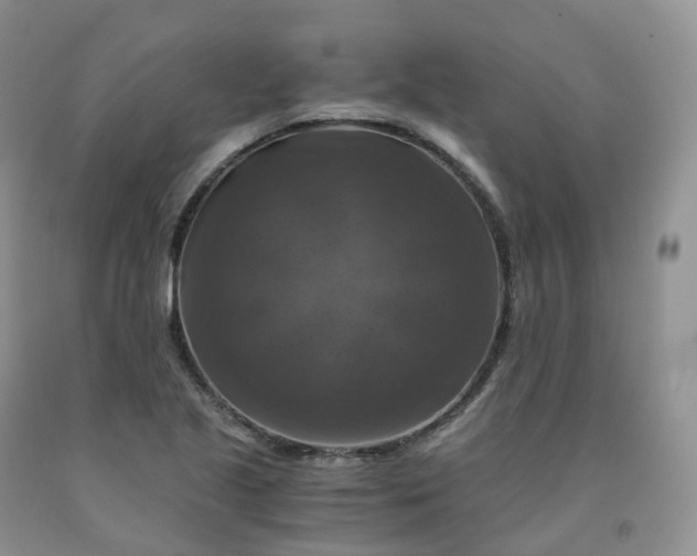 X0000092001221200709201502